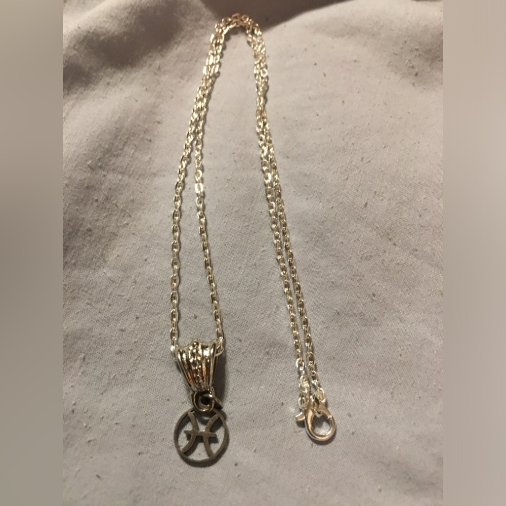 Pisces Charm on necklace with pendant holder - silver tone